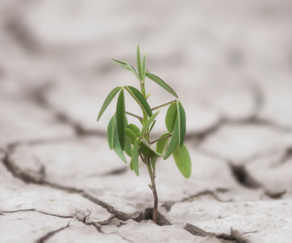 Resilienz Resilienz